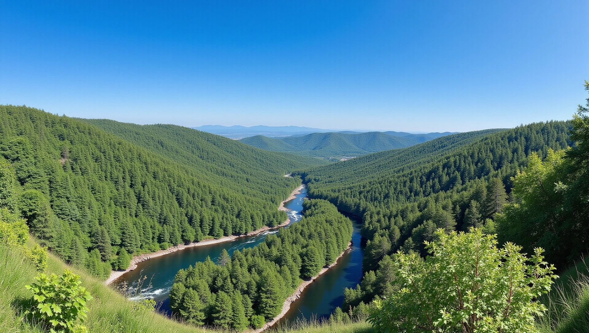 Panoramiczny obraz natury, symbolizujący spokój i zdrowie